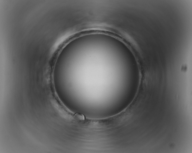 X0000112971360200908271131