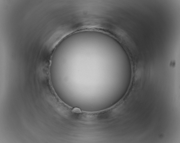 X0000112971361200908271131