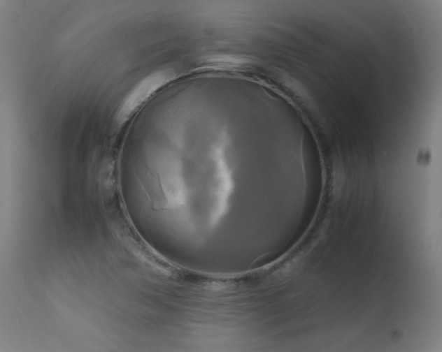 X0000112971362200908271131