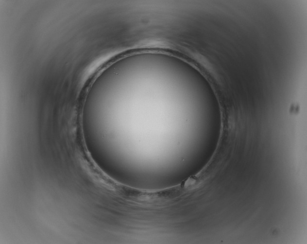 X0000112971364200908271131