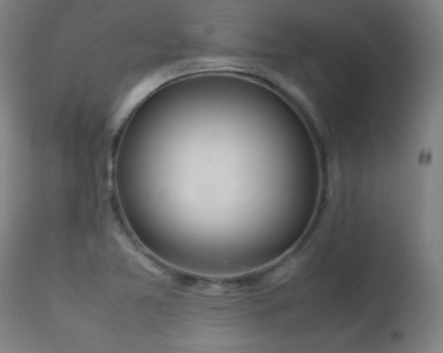 X0000112971365200908271131
