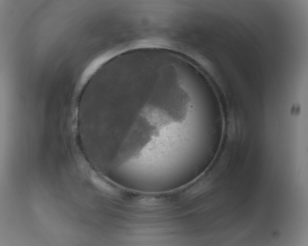 X0000112971366200908271131