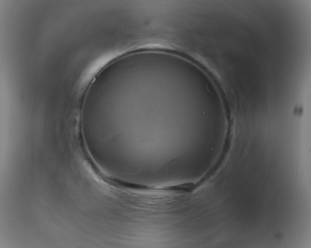 X0000112971367200908271131