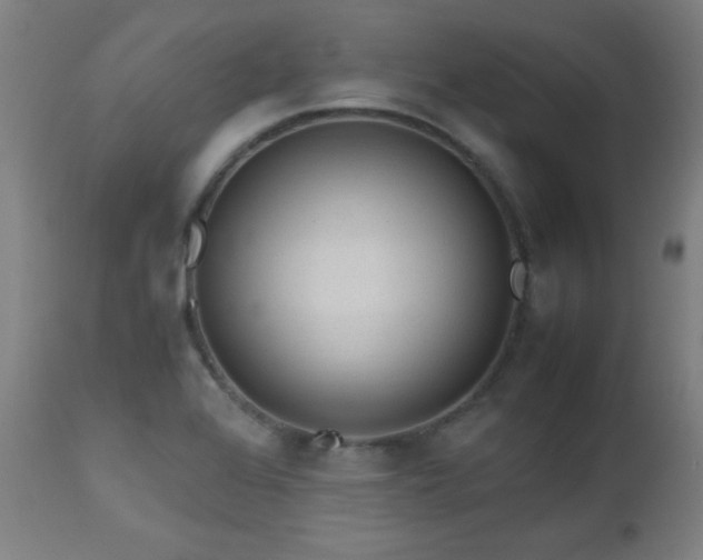 X0000112971368200908271131