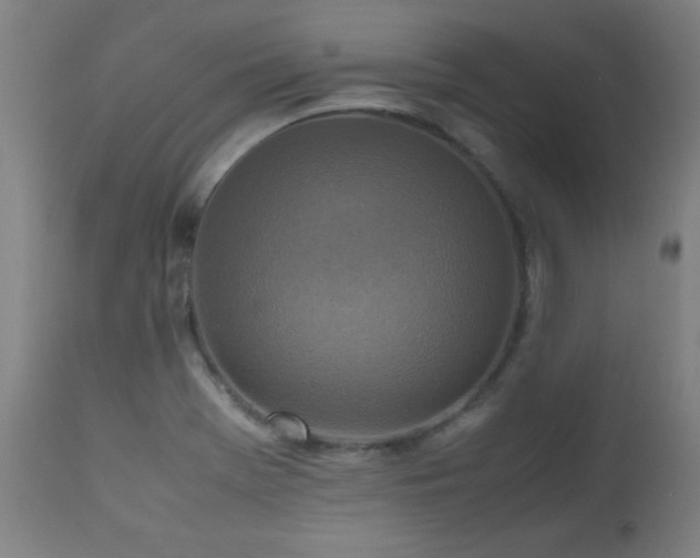 X0000112971369200908271131