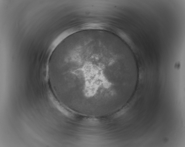 X0000112971370200908271131