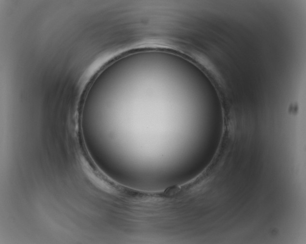 X0000112971372200908271131