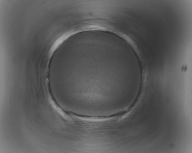 X0000112971373200908271131
