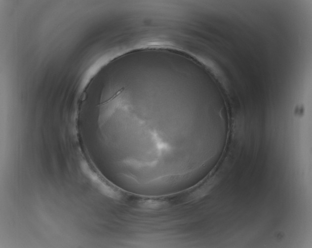 X0000112971374200908271131