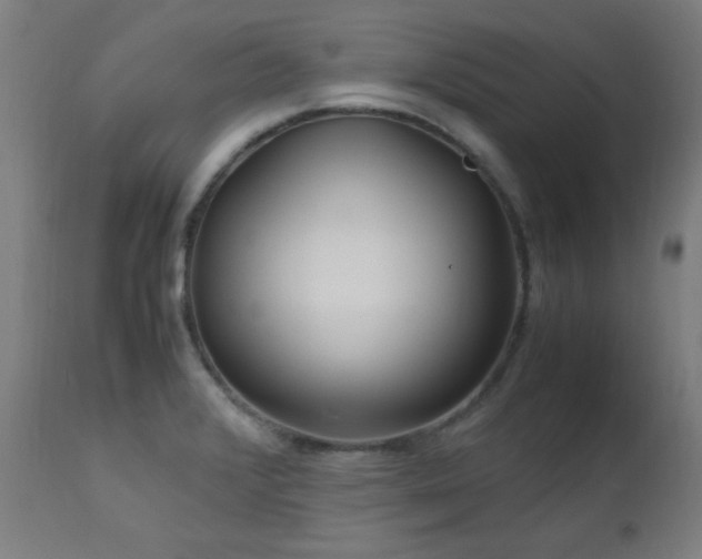 X0000112971376200908271131