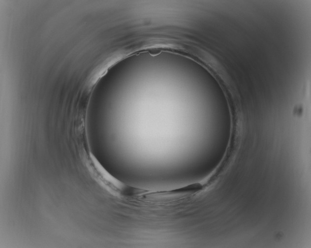 X0000112971377200908271131