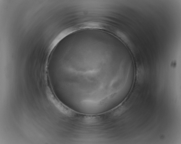 X0000112971378200908271131