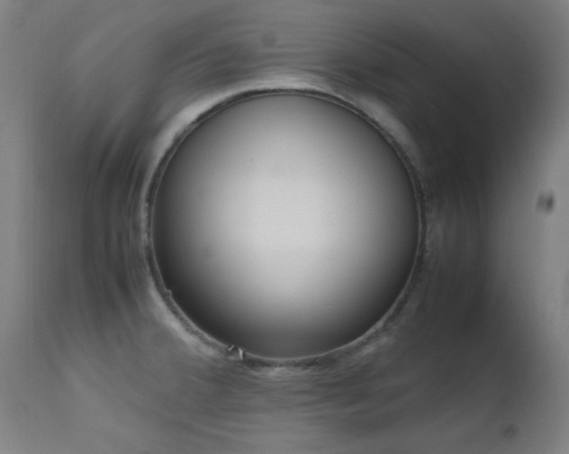 X0000112971380200908271131