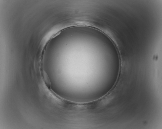 X0000112971381200908271131