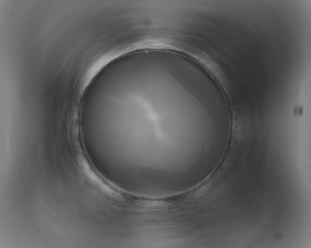 X0000112971382200908271131