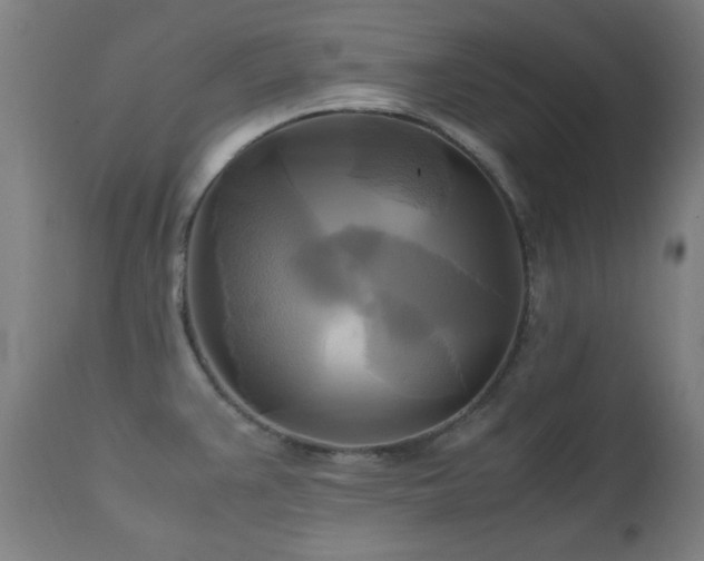 X0000112971383200908271131