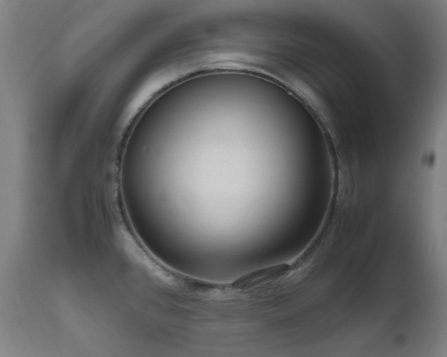X0000112971384200908271131