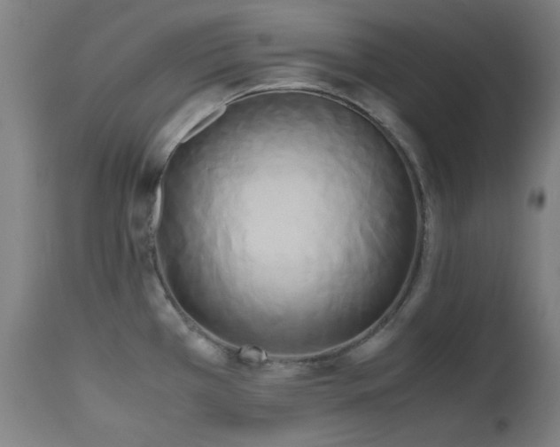 X0000112971385200908271131
