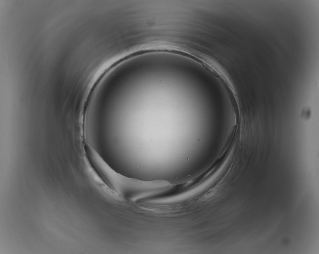 X0000112971388200908271130