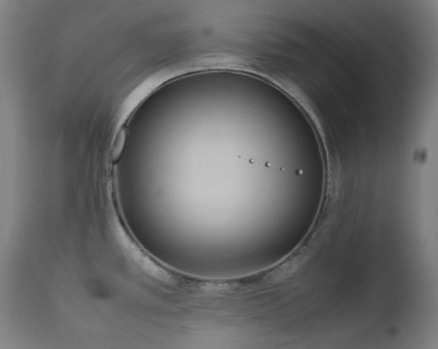 X0000112971389200908271130