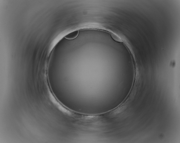 X0000112971390200908271130