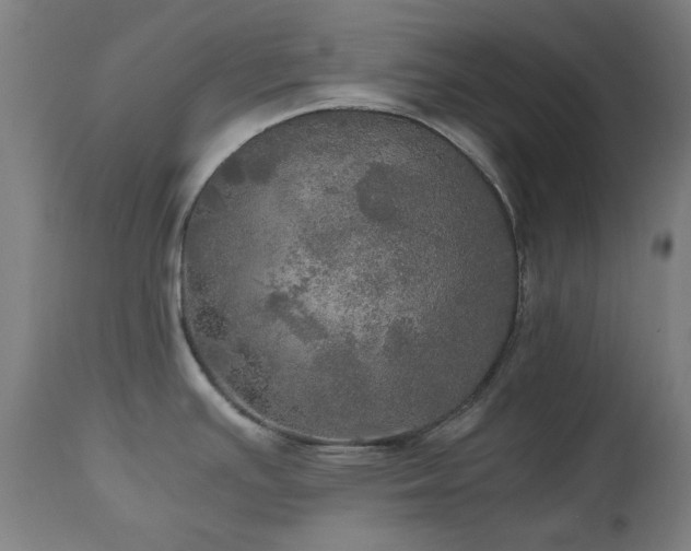 X0000112971391200908271130