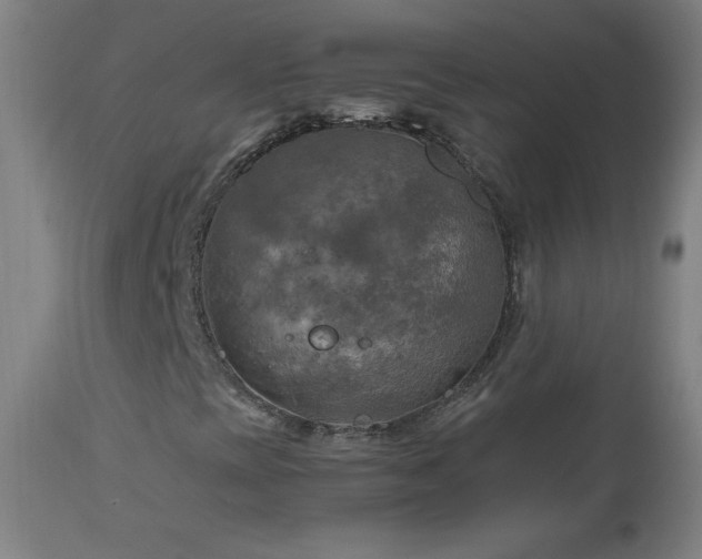 X0000112971393200908271130