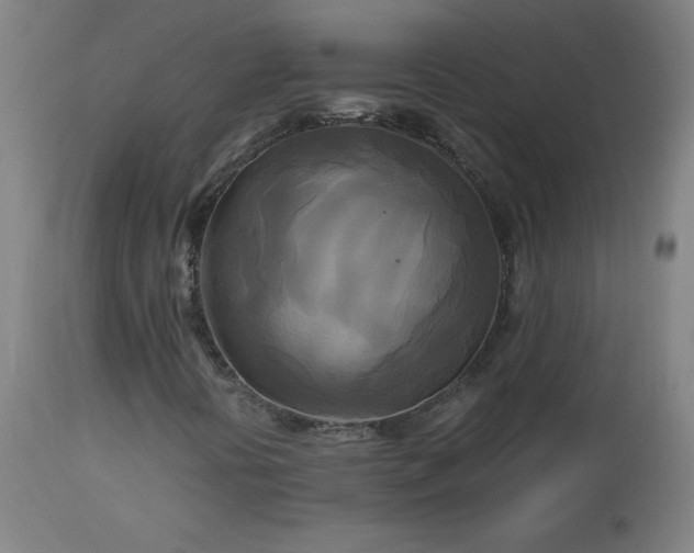 X0000112971394200908271130
