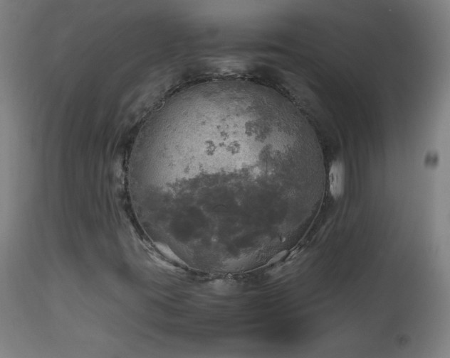 X0000112971395200908271130