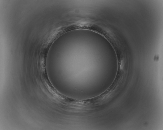 X0000112971396200908271130