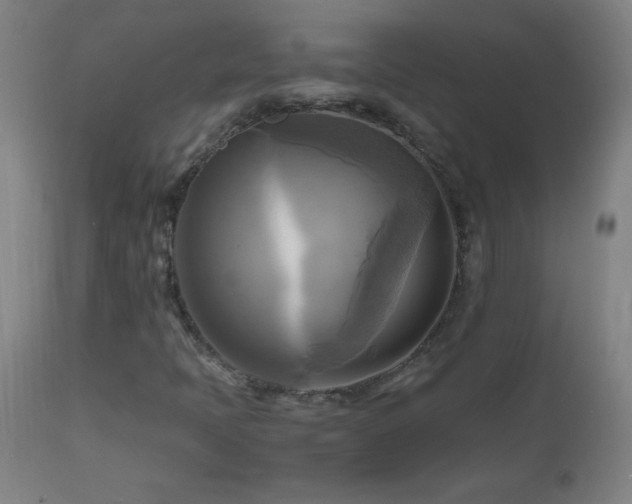 X0000112971397200908271130