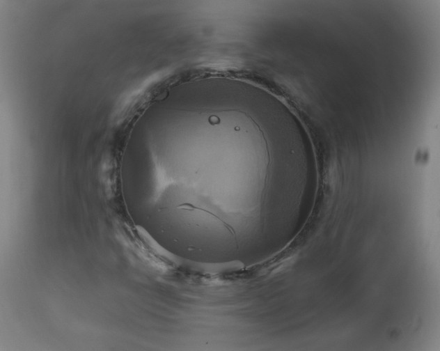 X0000112971398200908271130