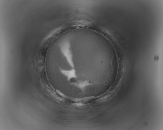 X0000112971399200908271130