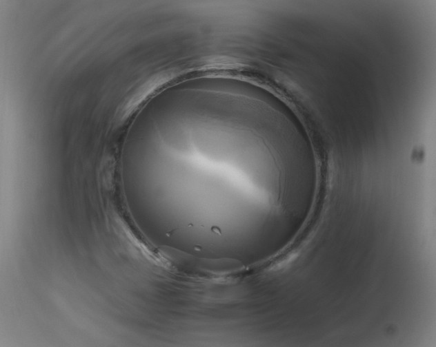 X0000112971401200908271130
