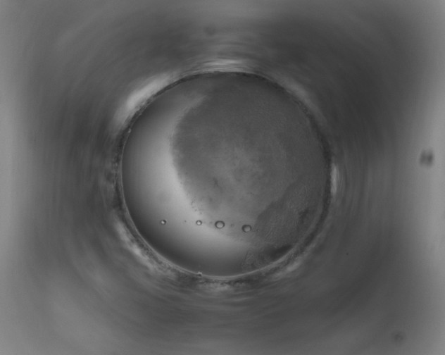 X0000112971405200908271130