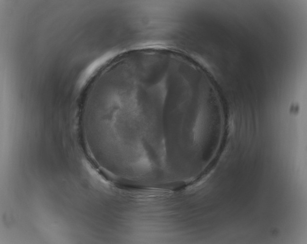 X0000112971406200908271130