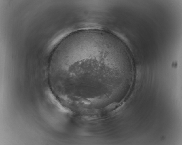 X0000112971407200908271130