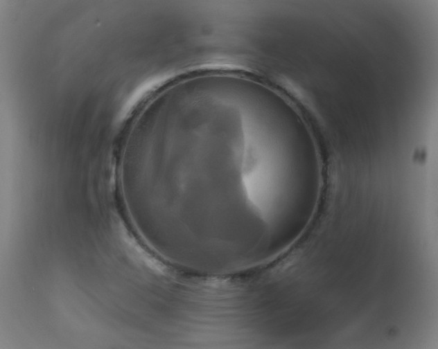 X0000112971408200908271130