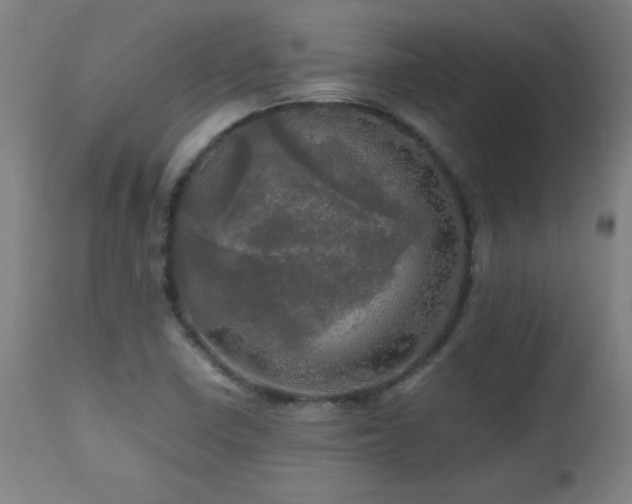 X0000112971410200908271130