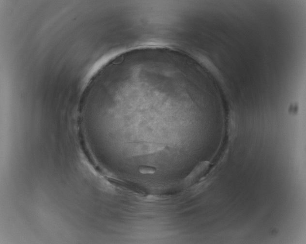 X0000112971412200908271130