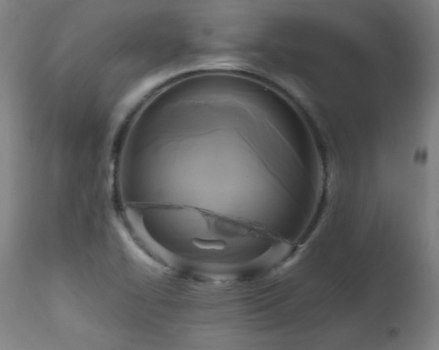 X0000112971414200908271130