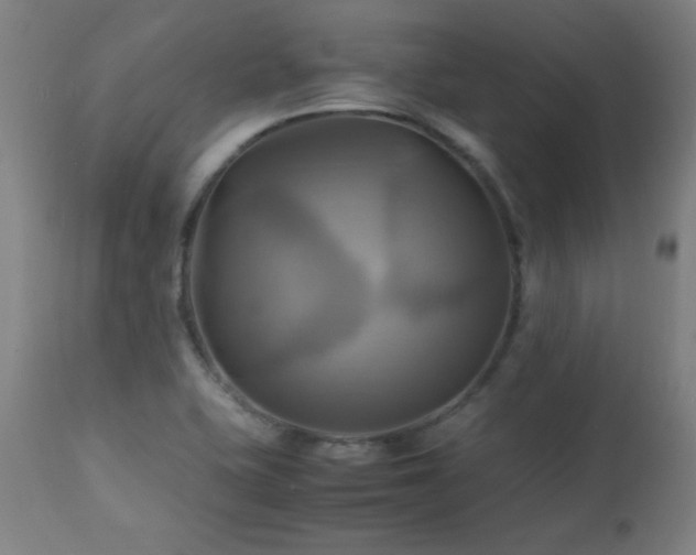 X0000112971415200908271130