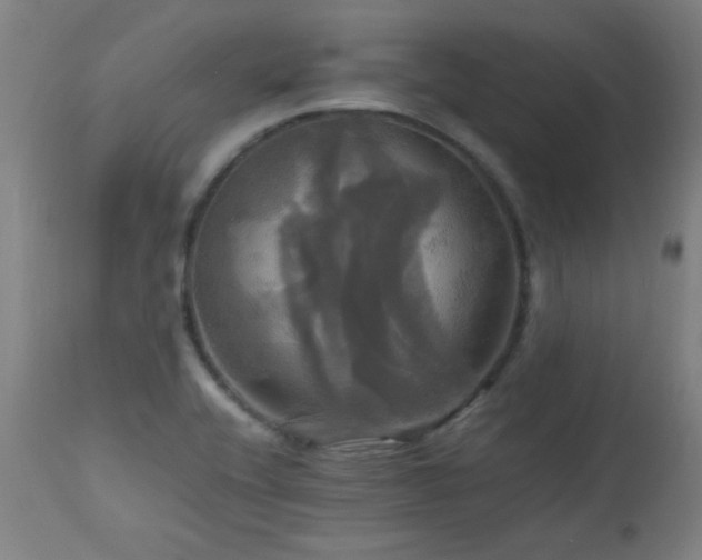 X0000112971416200908271130