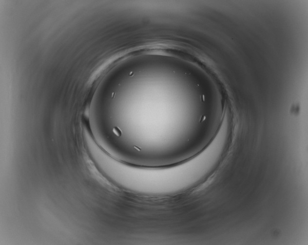 X0000112971417200908271130