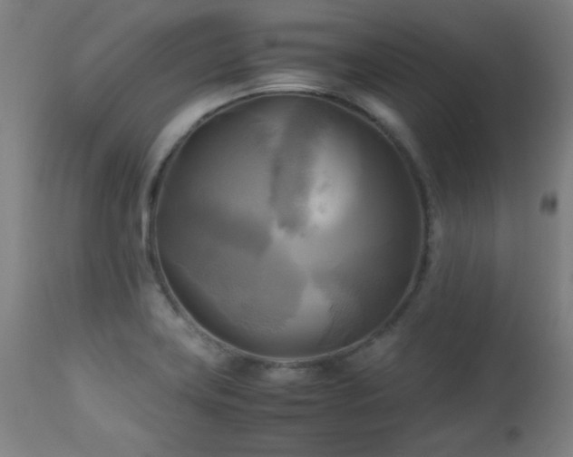 X0000112971419200908271130