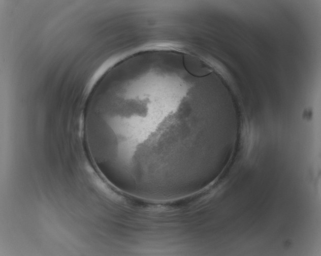 X0000112971420200908271130