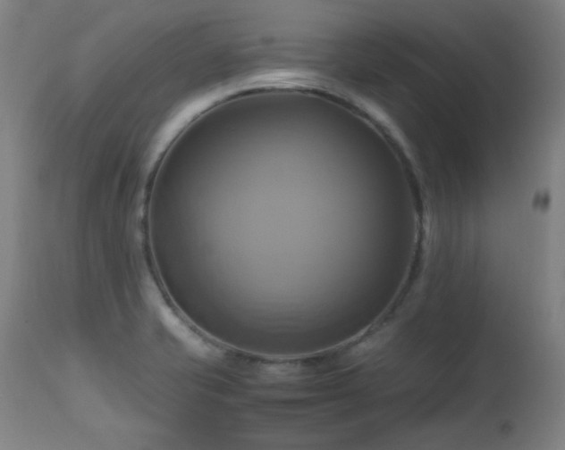 X0000112971421200908271130