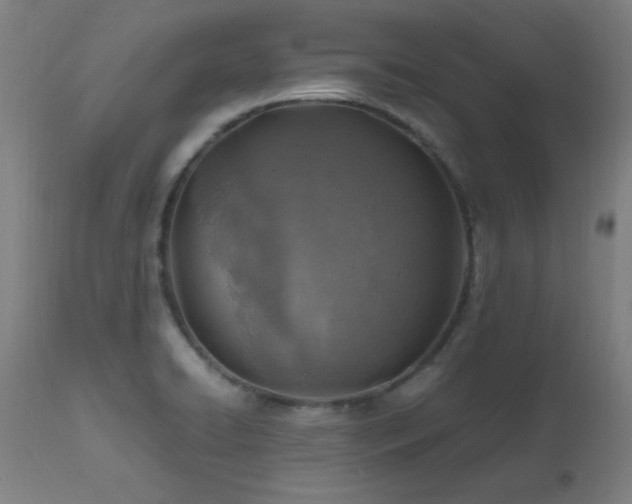 X0000112971422200908271130