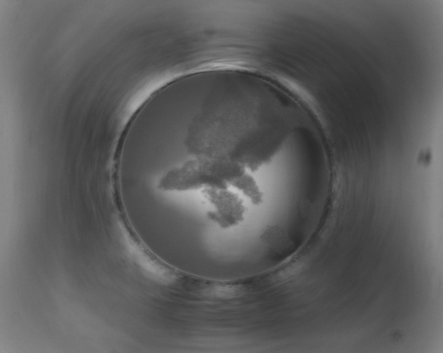 X0000112971423200908271130