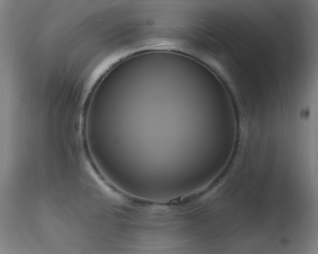 X0000112971424200908271130